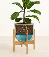 Load image into Gallery viewer, Sage Green stand:bamboo