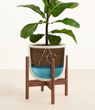 Load image into Gallery viewer, Natural Bamboo stand:walnut
