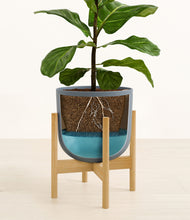 Load image into Gallery viewer, Iron Gray stand:bamboo