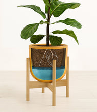 Load image into Gallery viewer, Sunset Orange stand:bamboo