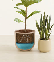 Load image into Gallery viewer, Desert