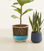 Load image into Gallery viewer, Midnight Moon