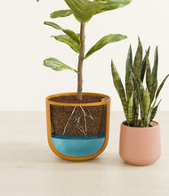 Load image into Gallery viewer, Sunset