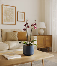 Load image into Gallery viewer, Deep Navy