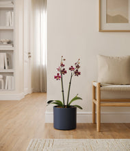 Load image into Gallery viewer, Deep Navy