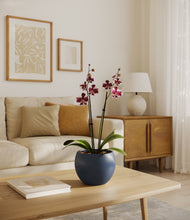 Load image into Gallery viewer, Deep Navy