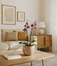 Load image into Gallery viewer, Desert Brown