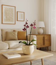 Load image into Gallery viewer, Shiny EggWhite