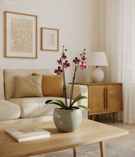 Load image into Gallery viewer, Deep Ocean