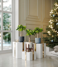 Load image into Gallery viewer, Pebble Shore stand:one_stand