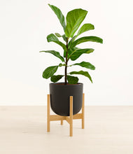 Load image into Gallery viewer, Stone Black stand:bamboo