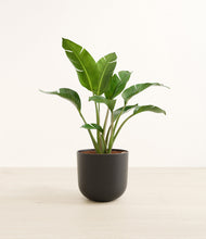 Load image into Gallery viewer, Stone Black*****Profile