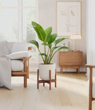 Load image into Gallery viewer, Natural Bamboo stand:walnut