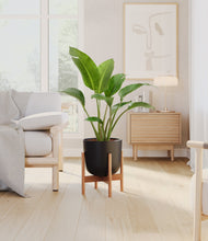 Load image into Gallery viewer, Stone Black stand:bamboo