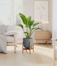 Load image into Gallery viewer, Iron Gray stand:bamboo