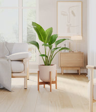 Load image into Gallery viewer, Sandy Pink stand:bamboo