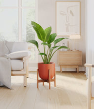 Load image into Gallery viewer, Earth Red stand:bamboo