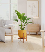 Load image into Gallery viewer, Sunset Orange stand:bamboo