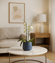 Load image into Gallery viewer, Deep Navy