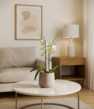 Load image into Gallery viewer, Eternal Gray