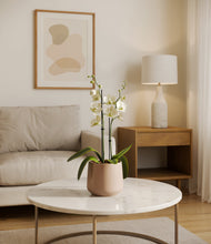 Load image into Gallery viewer, Gentle Pink