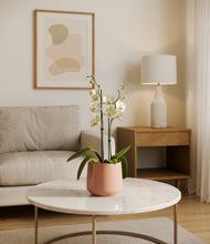 Load image into Gallery viewer, Calm Rose