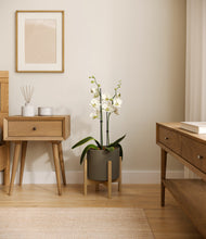 Load image into Gallery viewer, Dark Olive stand:bamboo