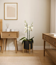 Load image into Gallery viewer, Black stand:bamboo