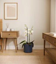 Load image into Gallery viewer, Deep Navy