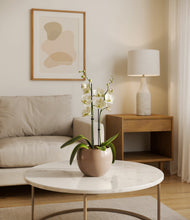 Load image into Gallery viewer, Desert Brown