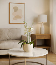 Load image into Gallery viewer, Shiny EggWhite