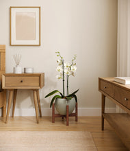 Load image into Gallery viewer, Deep Ocean stand:walnut