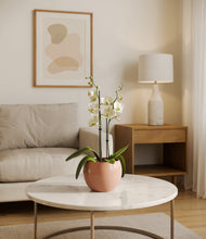 Load image into Gallery viewer, Calm Rose