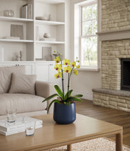 Load image into Gallery viewer, Deep Navy