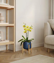 Load image into Gallery viewer, Deep Navy stand:bamboo