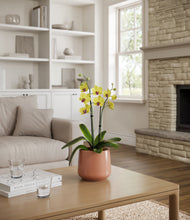 Load image into Gallery viewer, Calm Rose