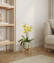 Load image into Gallery viewer, Turquoise stand:bamboo