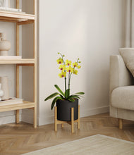 Load image into Gallery viewer, Black stand:bamboo