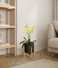 Load image into Gallery viewer, Black stand:bamboo