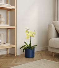 Load image into Gallery viewer, Deep Navy