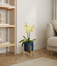 Load image into Gallery viewer, Deep Navy stand:bamboo