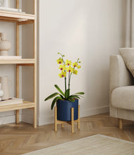 Load image into Gallery viewer, Deep Navy stand:bamboo