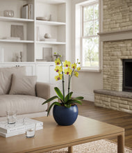 Load image into Gallery viewer, Deep Navy