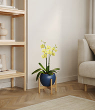 Load image into Gallery viewer, Deep Navy stand:bamboo