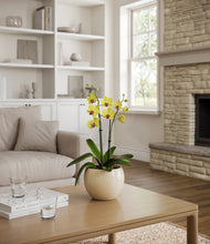 Load image into Gallery viewer, Shiny EggWhite