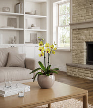 Load image into Gallery viewer, Winter Clouds stand:bamboo