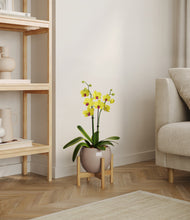 Load image into Gallery viewer, Winter Clouds