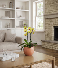 Load image into Gallery viewer, Calm Rose