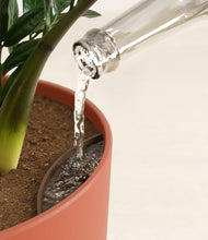 Load image into Gallery viewer, Earth Red stand:all