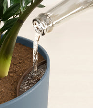 Load image into Gallery viewer, Iron Gray stand:all